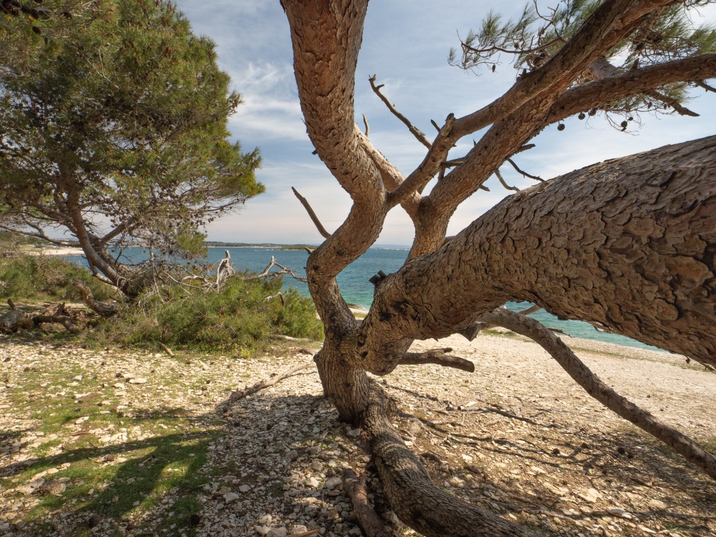 Istria