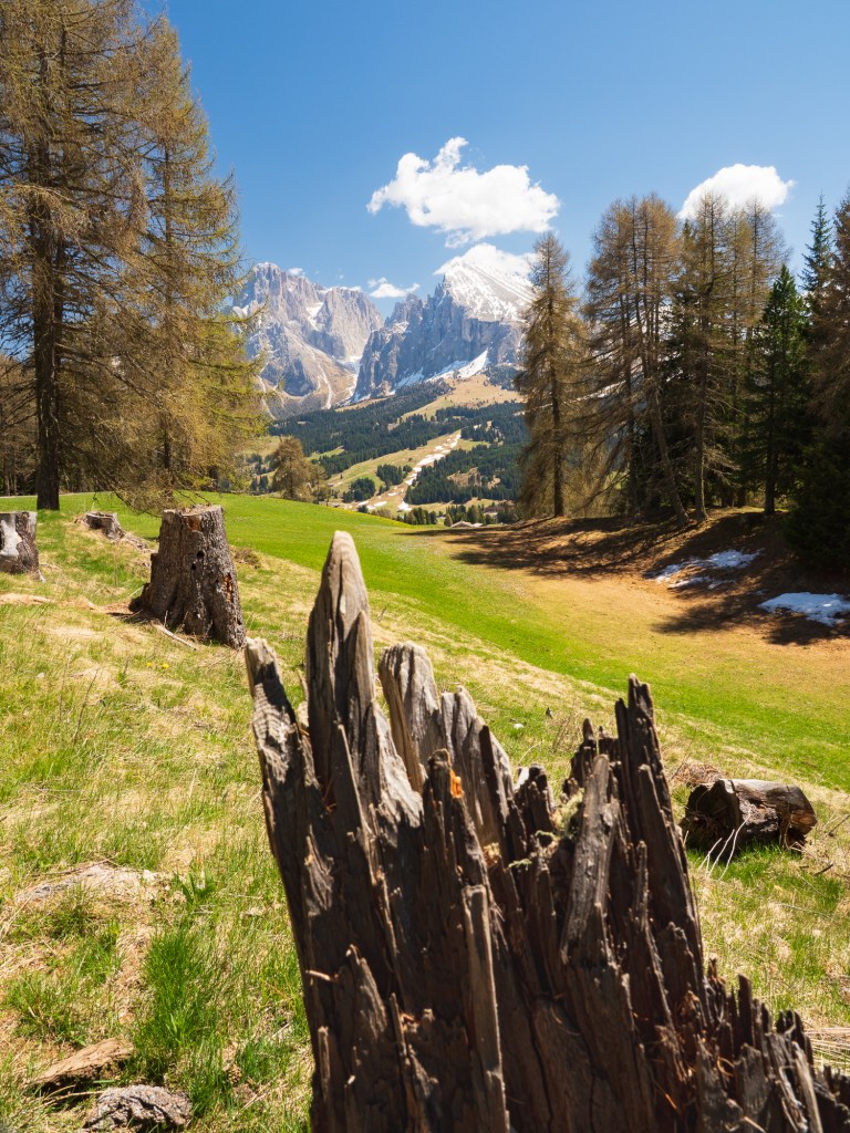 South Tyrol